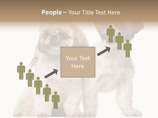 Gain Unhealthy Lose PowerPoint Template