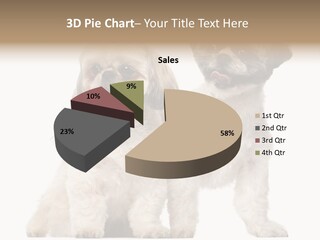 Gain Unhealthy Lose PowerPoint Template