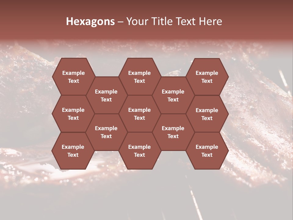 Obesity Female Fear PowerPoint Template