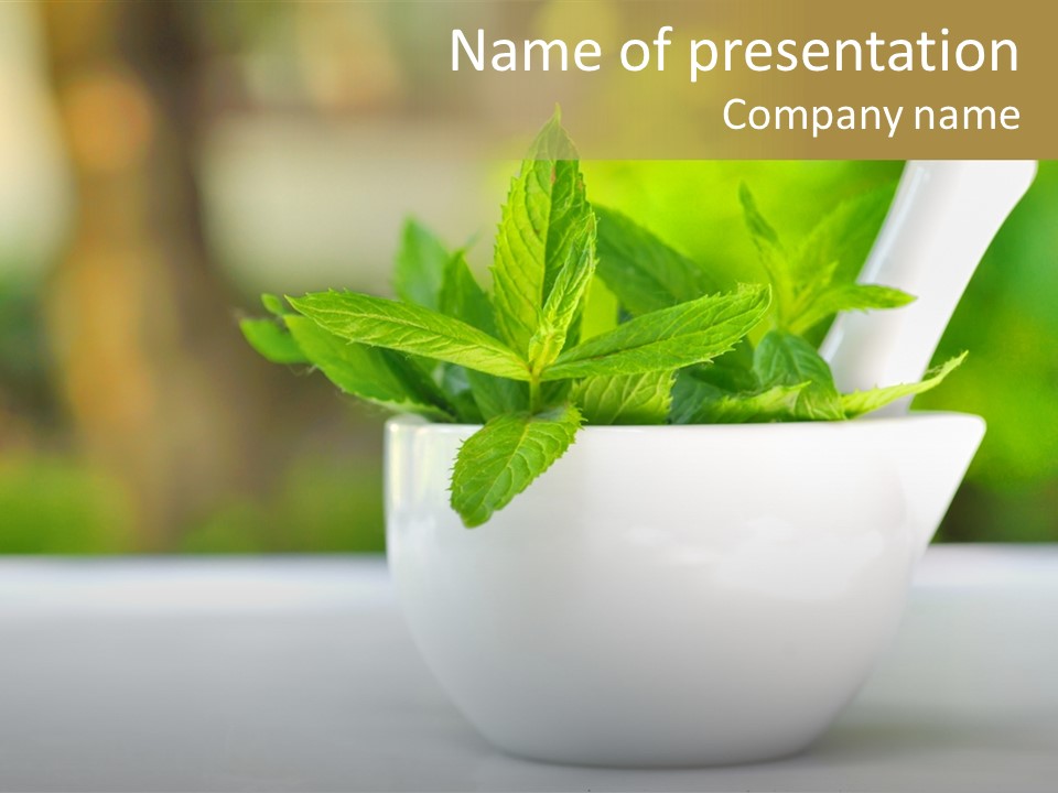Bowl Medical Fresh PowerPoint Template