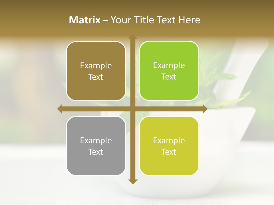 Bowl Medical Fresh PowerPoint Template