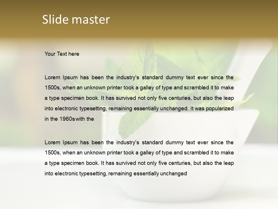 Bowl Medical Fresh PowerPoint Template