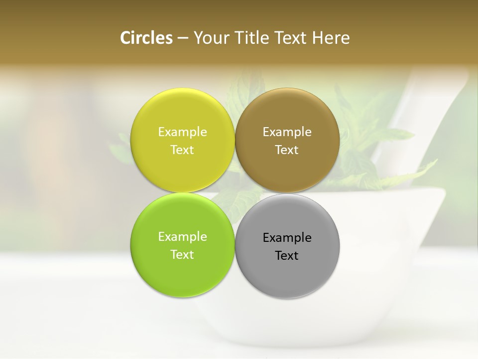 Bowl Medical Fresh PowerPoint Template