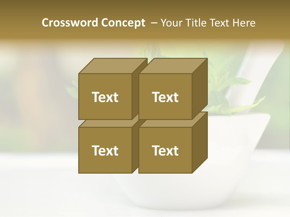 Bowl Medical Fresh PowerPoint Template