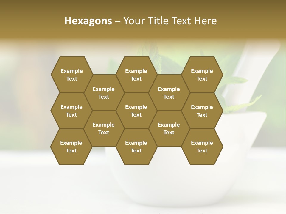 Bowl Medical Fresh PowerPoint Template