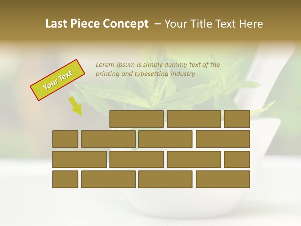 Bowl Medical Fresh PowerPoint Template