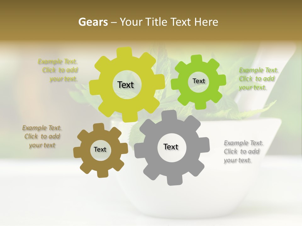 Bowl Medical Fresh PowerPoint Template
