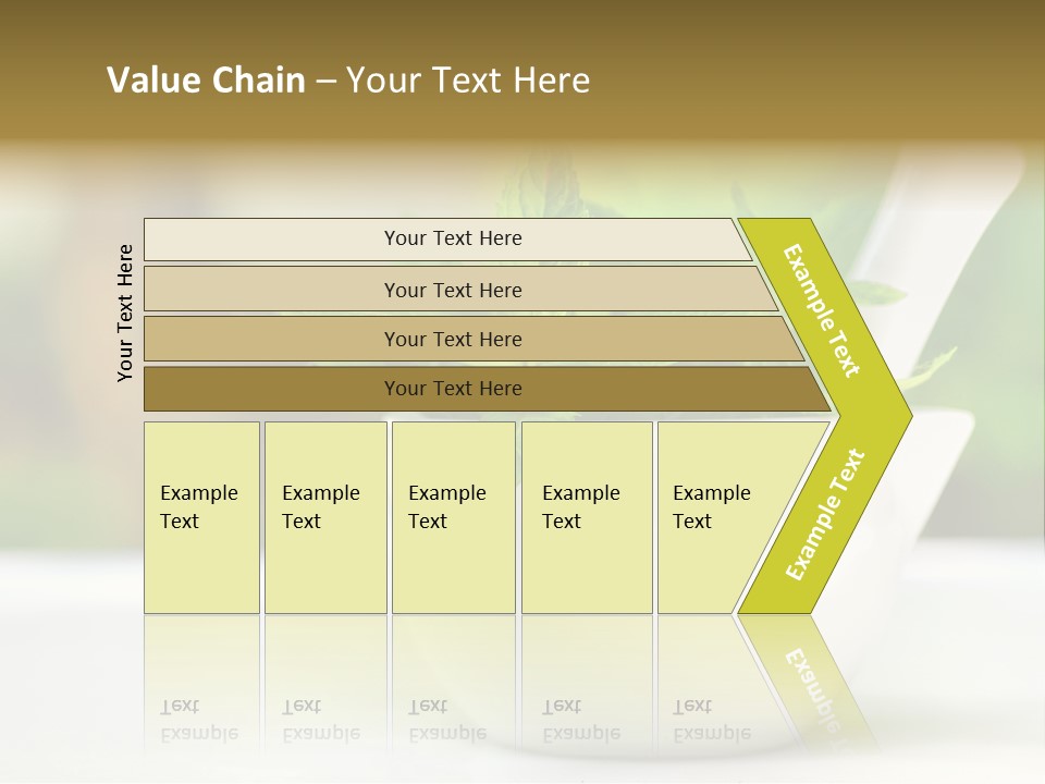 Bowl Medical Fresh PowerPoint Template