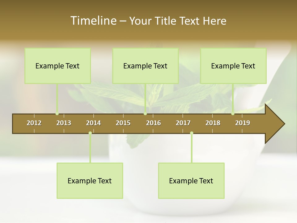 Bowl Medical Fresh PowerPoint Template