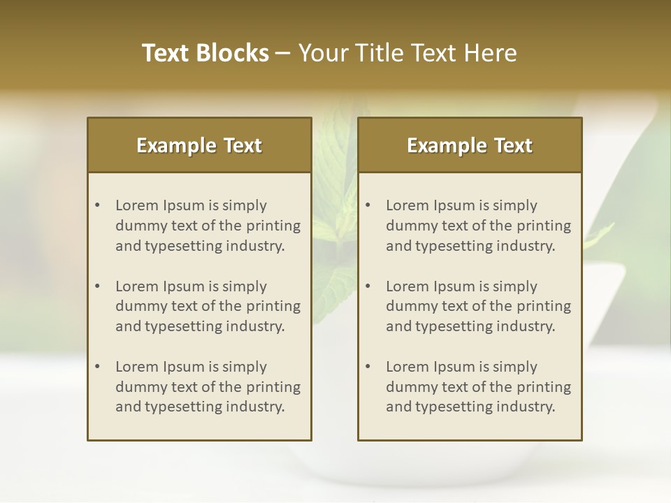 Bowl Medical Fresh PowerPoint Template