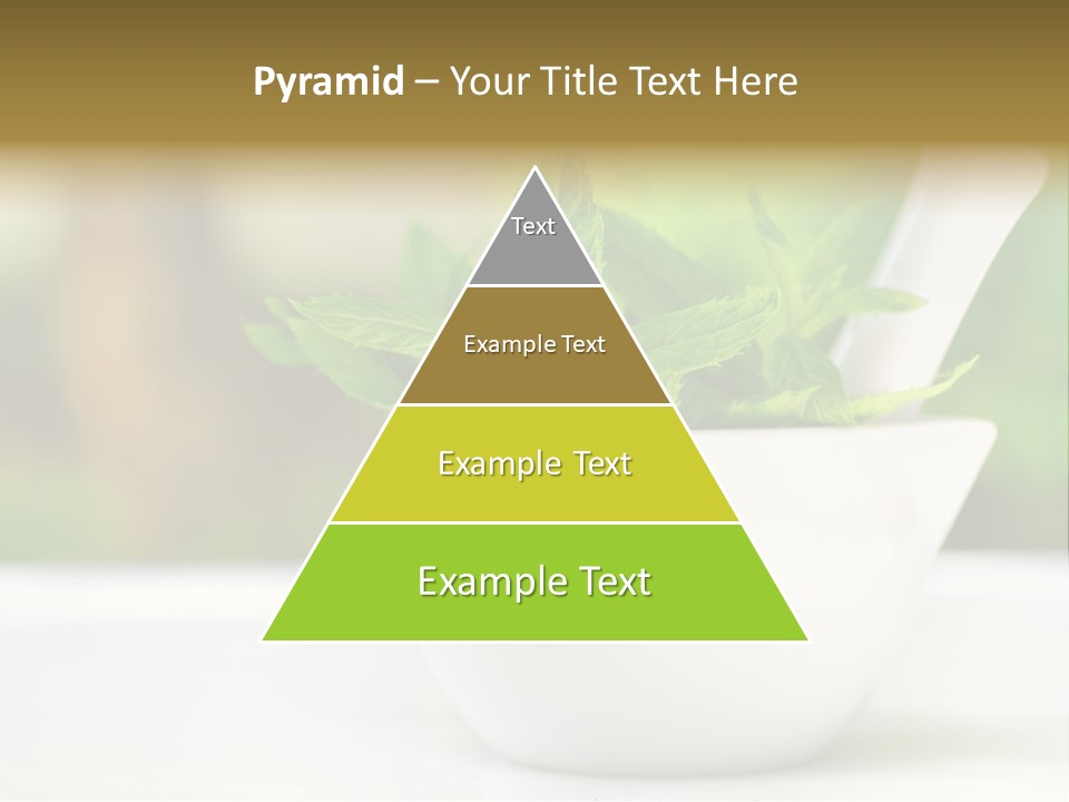 Bowl Medical Fresh PowerPoint Template
