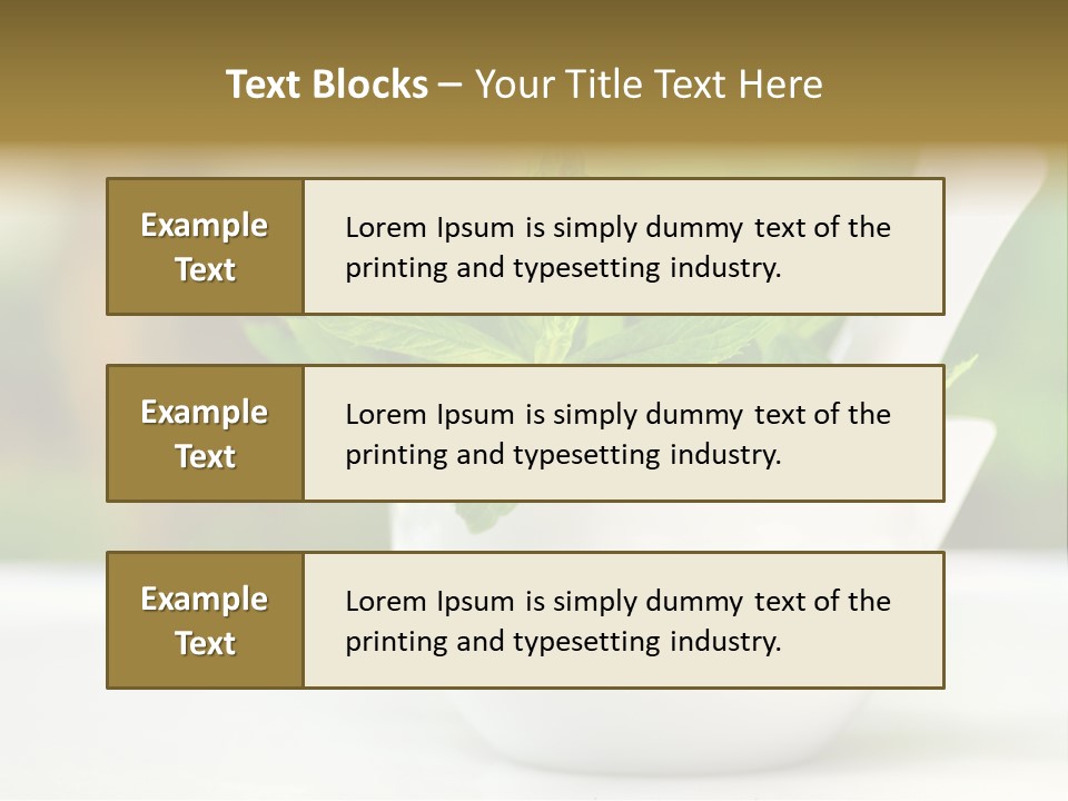 Bowl Medical Fresh PowerPoint Template