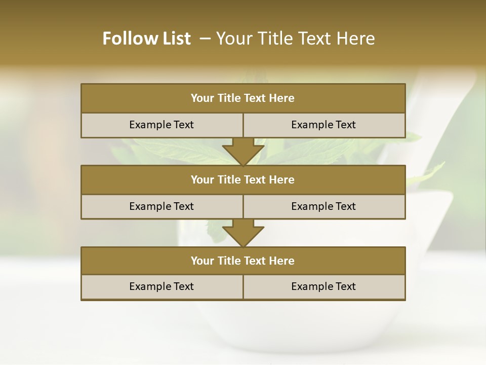 Bowl Medical Fresh PowerPoint Template