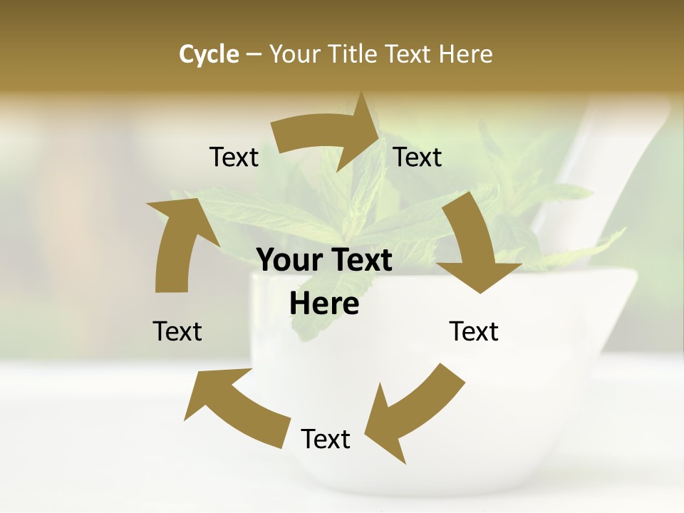 Bowl Medical Fresh PowerPoint Template
