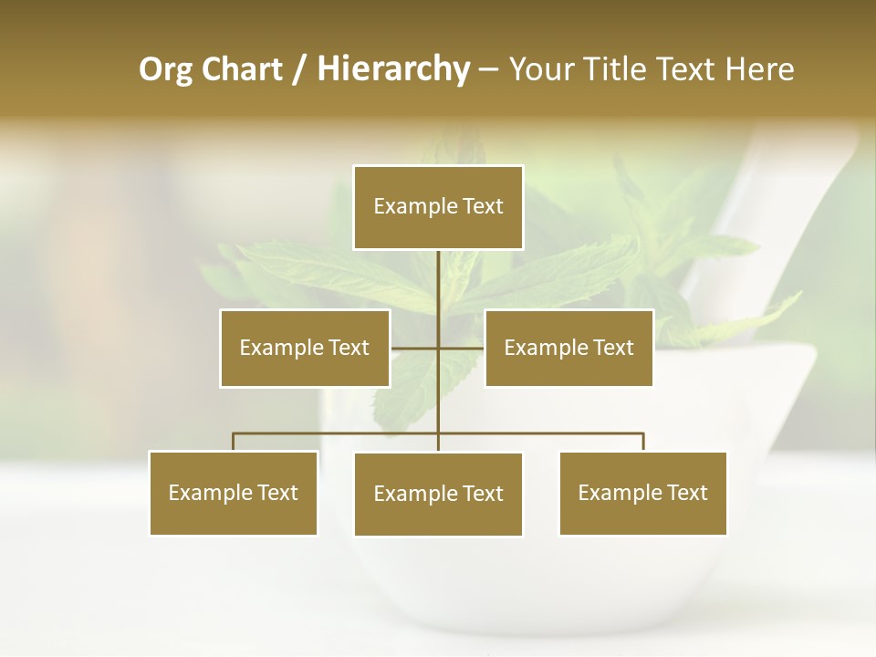 Bowl Medical Fresh PowerPoint Template
