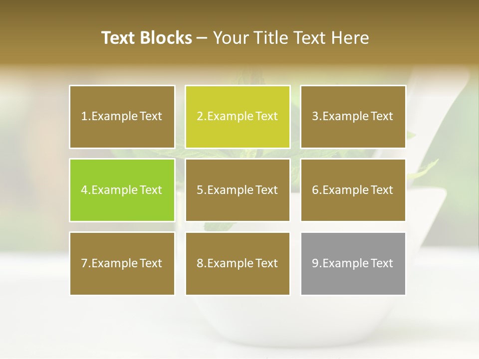 Bowl Medical Fresh PowerPoint Template