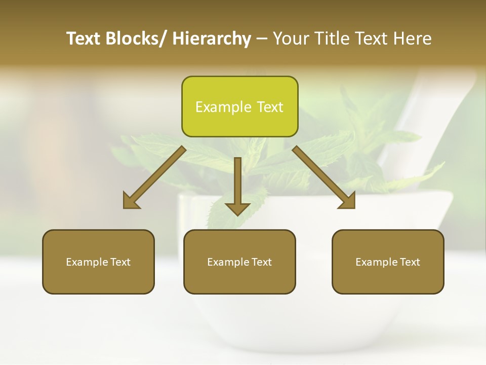Bowl Medical Fresh PowerPoint Template