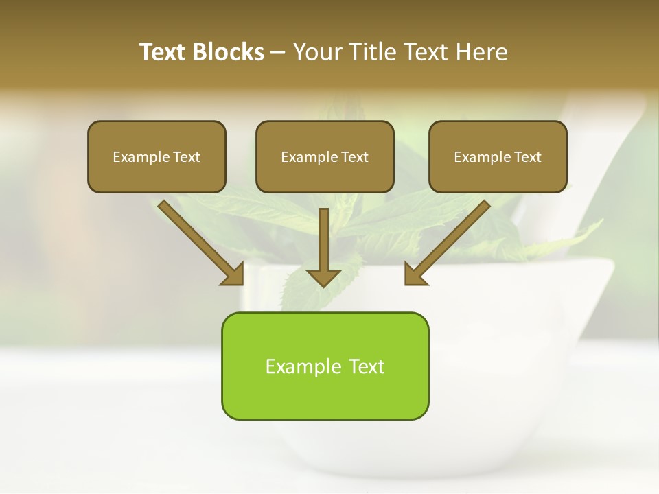 Bowl Medical Fresh PowerPoint Template