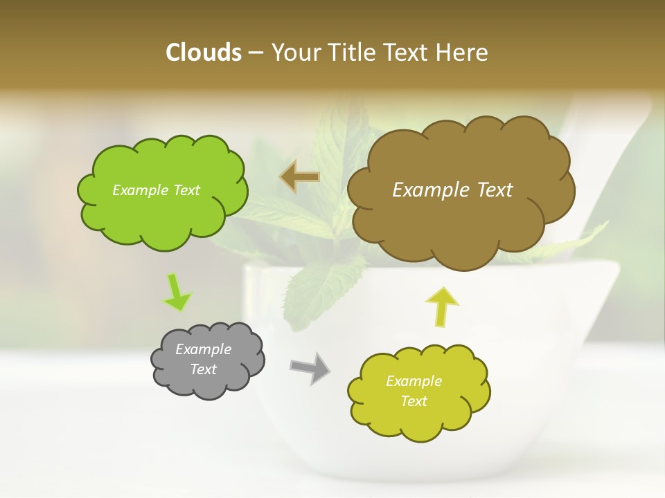 Bowl Medical Fresh PowerPoint Template