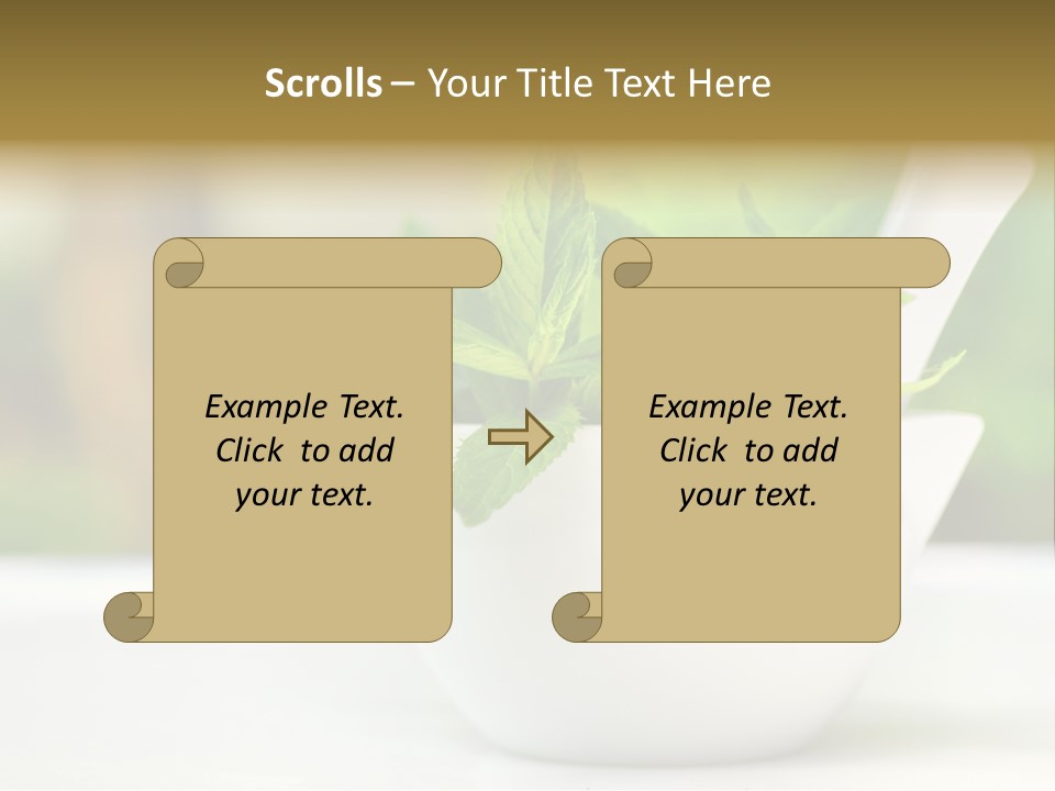 Bowl Medical Fresh PowerPoint Template