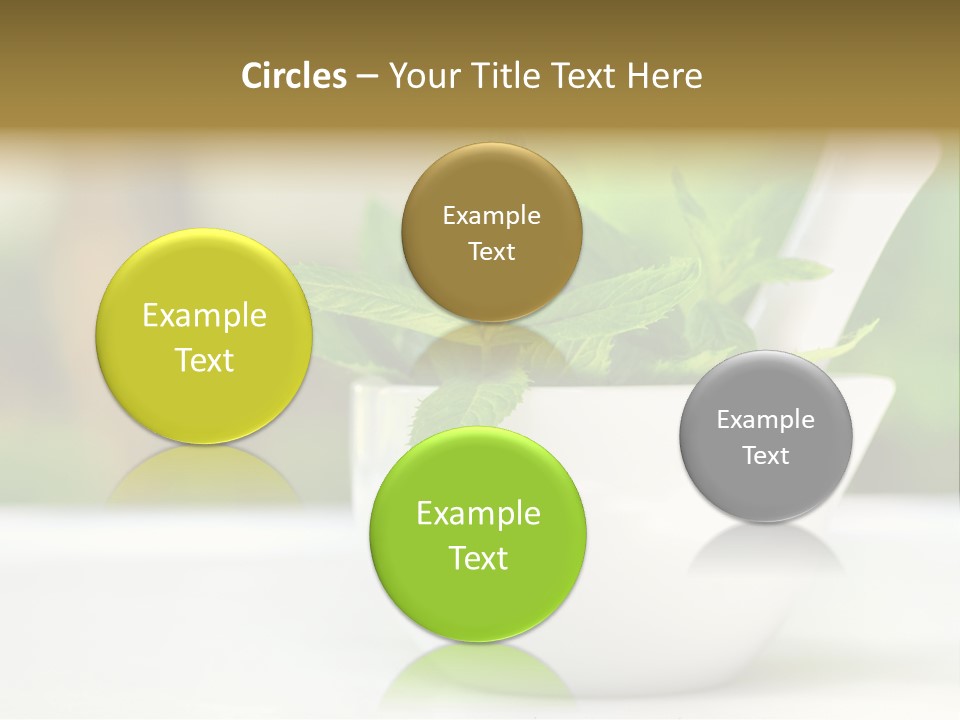 Bowl Medical Fresh PowerPoint Template