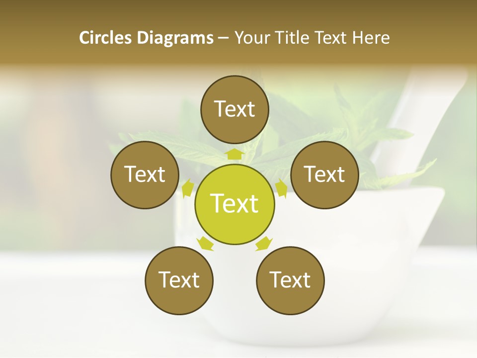 Bowl Medical Fresh PowerPoint Template