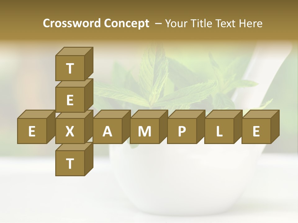 Bowl Medical Fresh PowerPoint Template