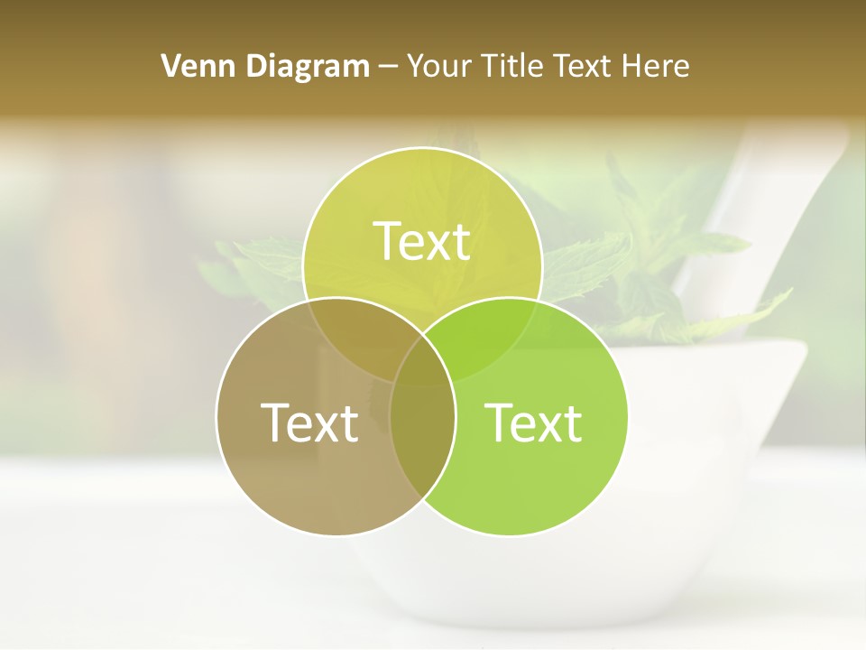 Bowl Medical Fresh PowerPoint Template
