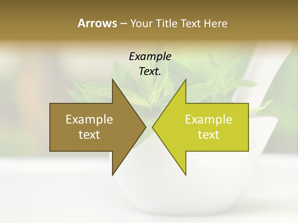 Bowl Medical Fresh PowerPoint Template