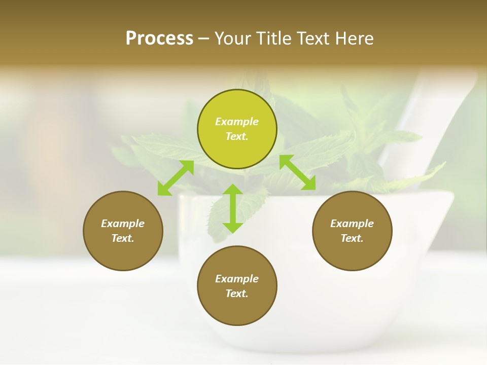 Bowl Medical Fresh PowerPoint Template