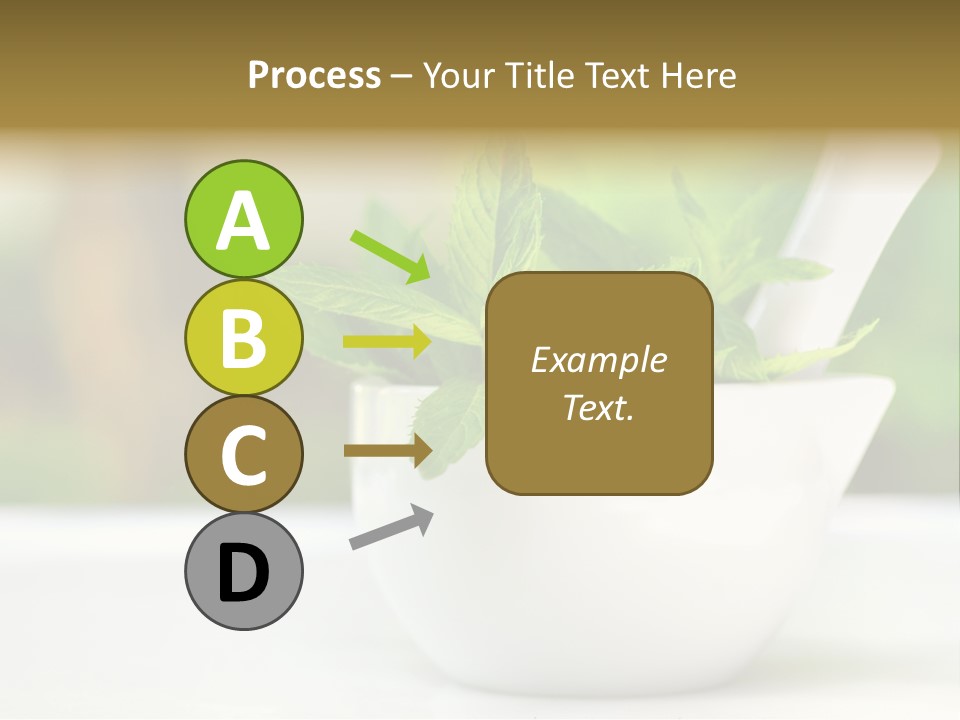 Bowl Medical Fresh PowerPoint Template