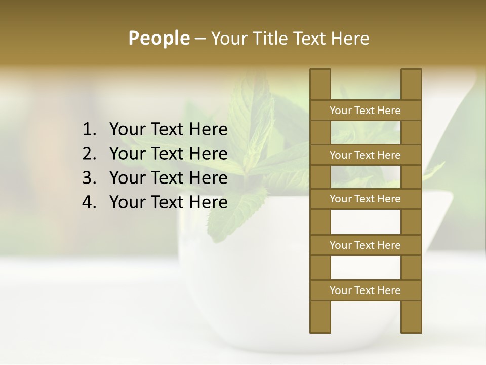 Bowl Medical Fresh PowerPoint Template