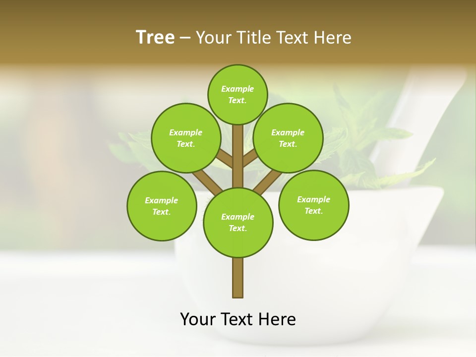 Bowl Medical Fresh PowerPoint Template