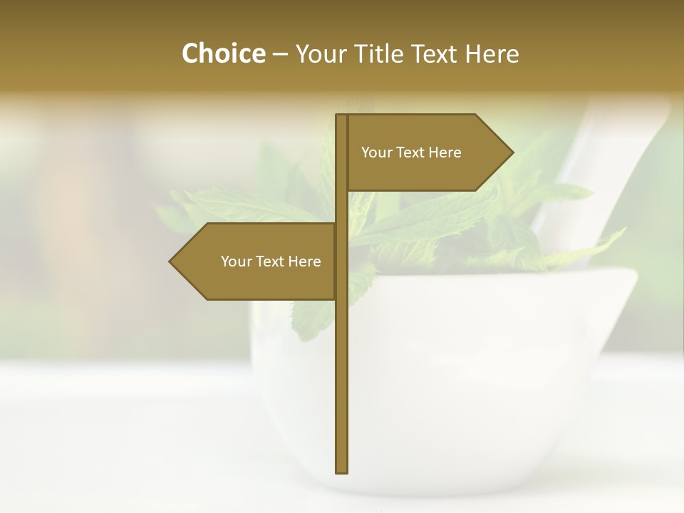 Bowl Medical Fresh PowerPoint Template