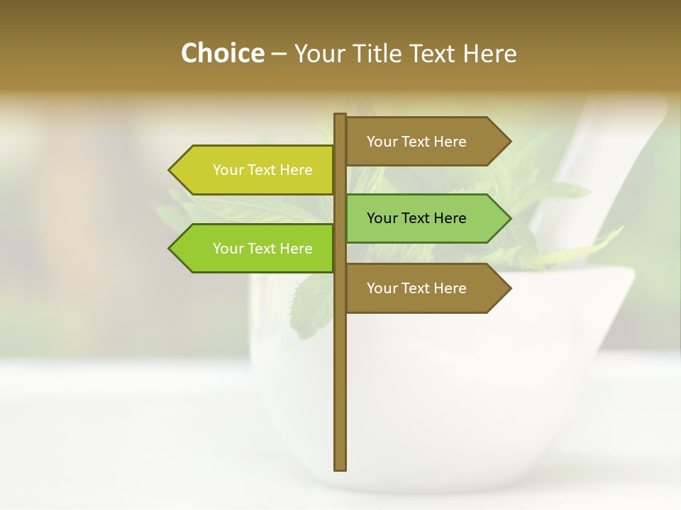 Bowl Medical Fresh PowerPoint Template