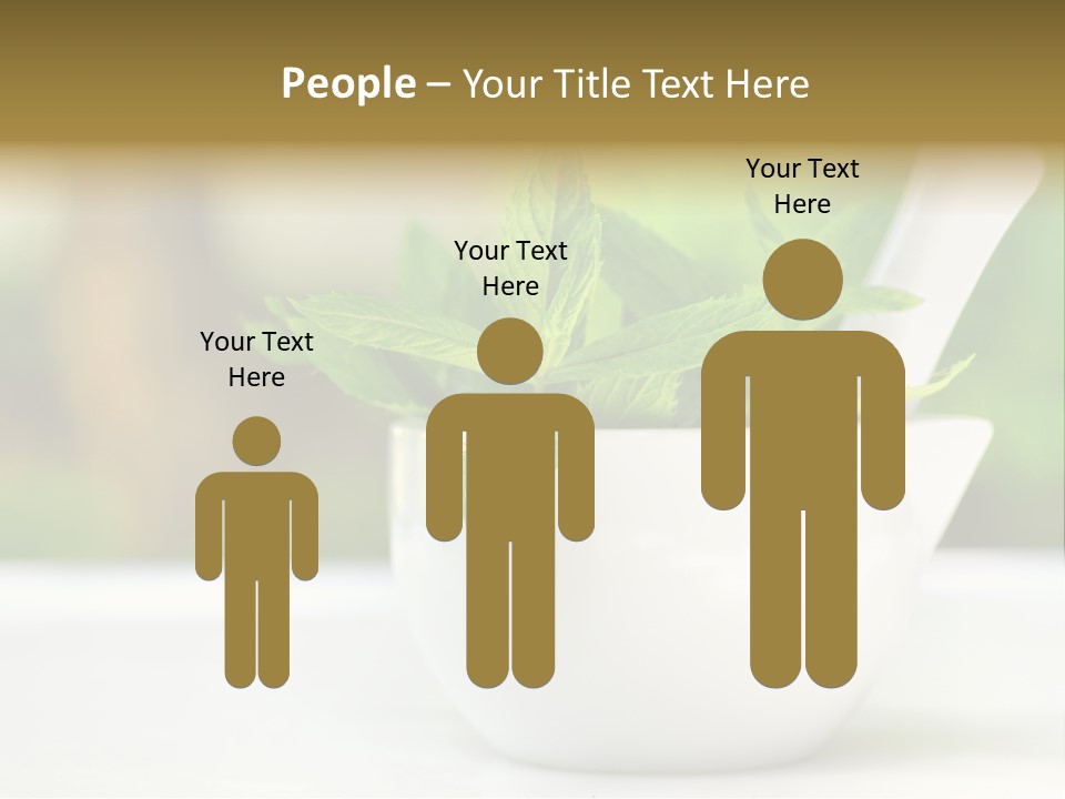 Bowl Medical Fresh PowerPoint Template