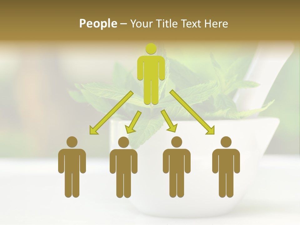 Bowl Medical Fresh PowerPoint Template