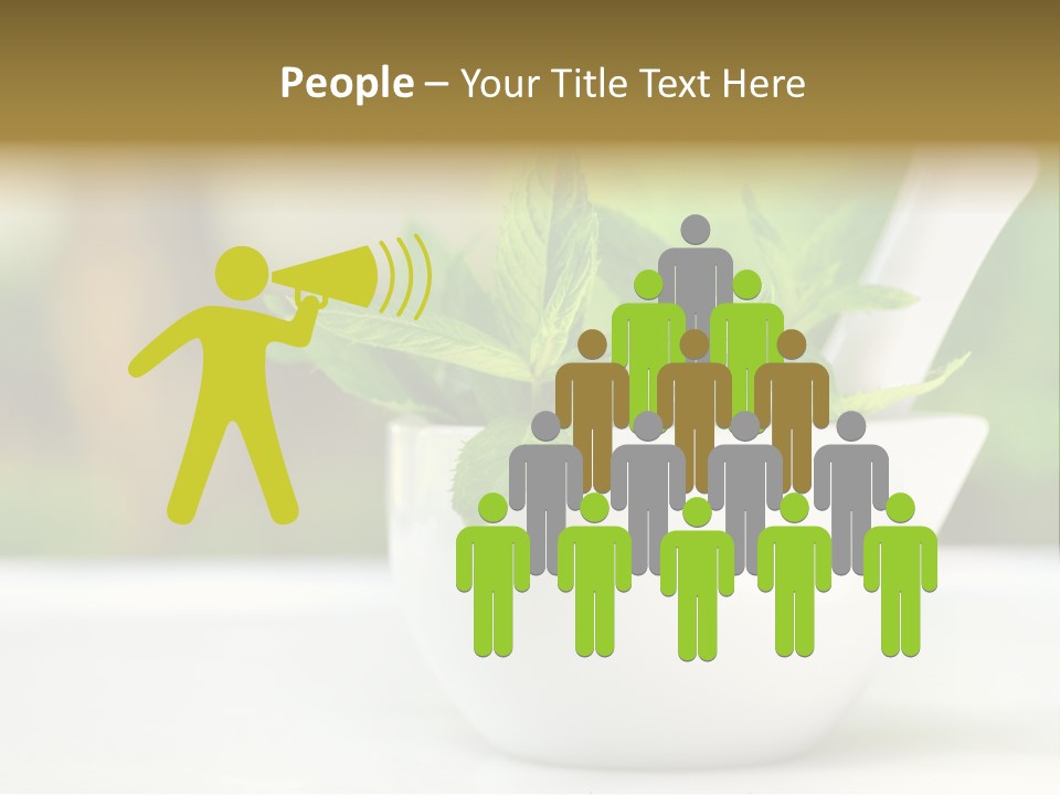 Bowl Medical Fresh PowerPoint Template