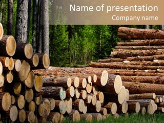 Conifer Plant Nature PowerPoint Template