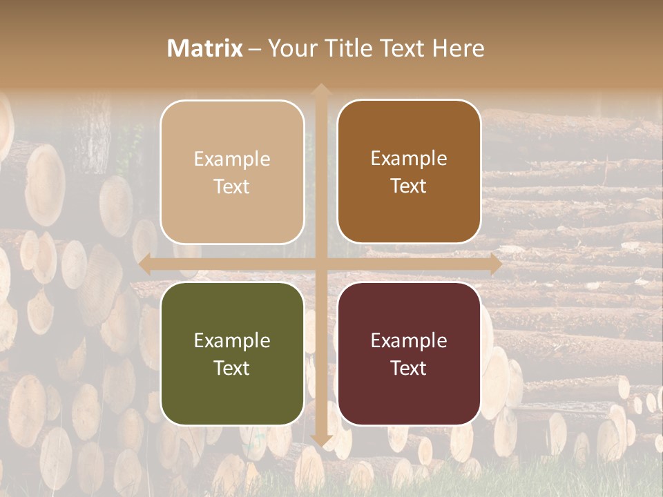 Conifer Plant Nature PowerPoint Template