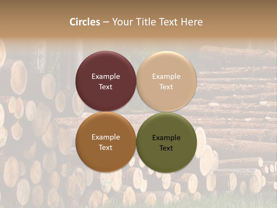 Conifer Plant Nature PowerPoint Template