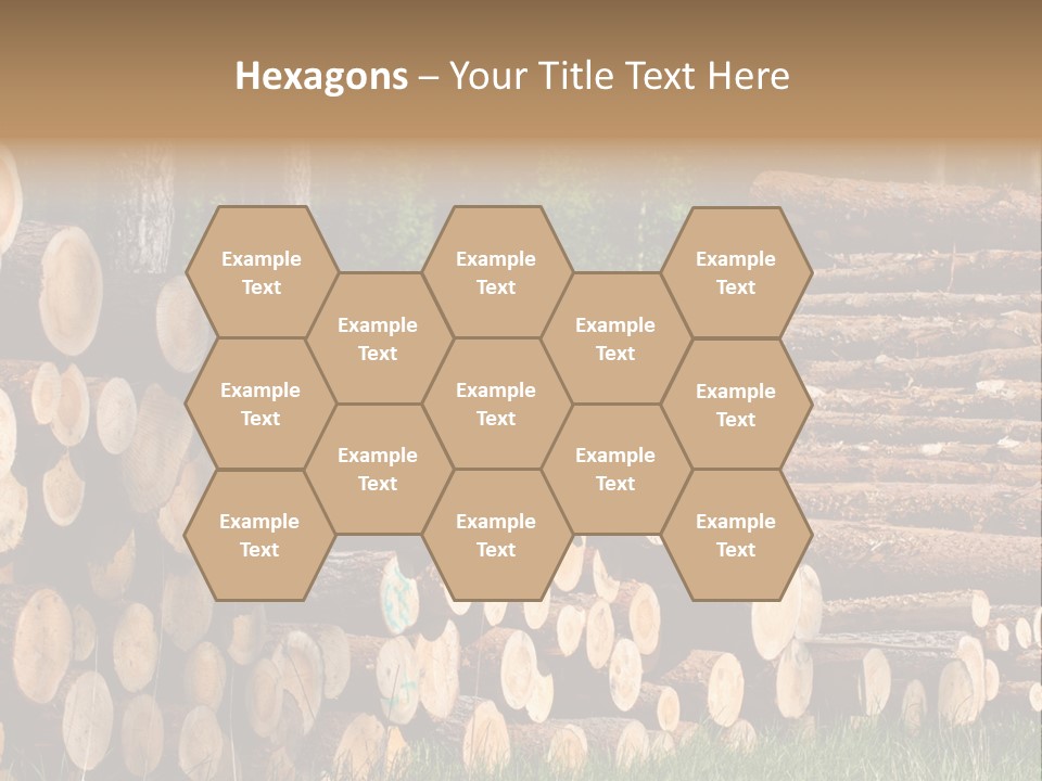 Conifer Plant Nature PowerPoint Template