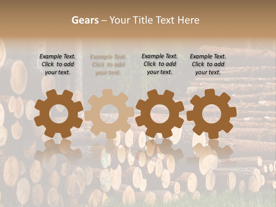 Conifer Plant Nature PowerPoint Template