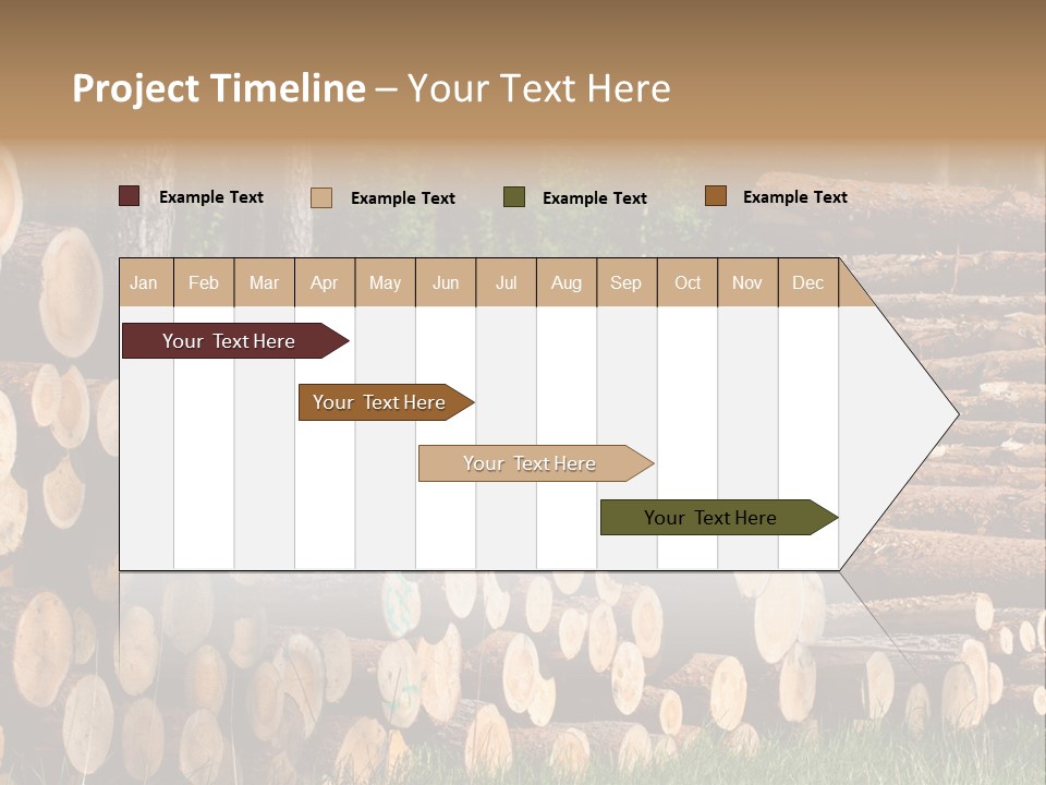 Conifer Plant Nature PowerPoint Template