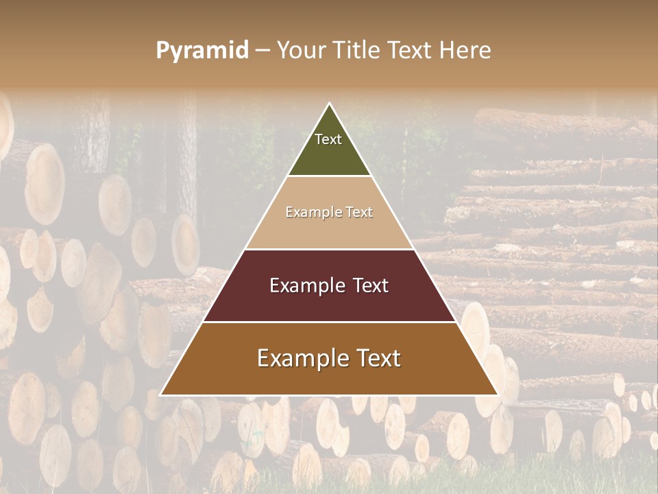 Conifer Plant Nature PowerPoint Template