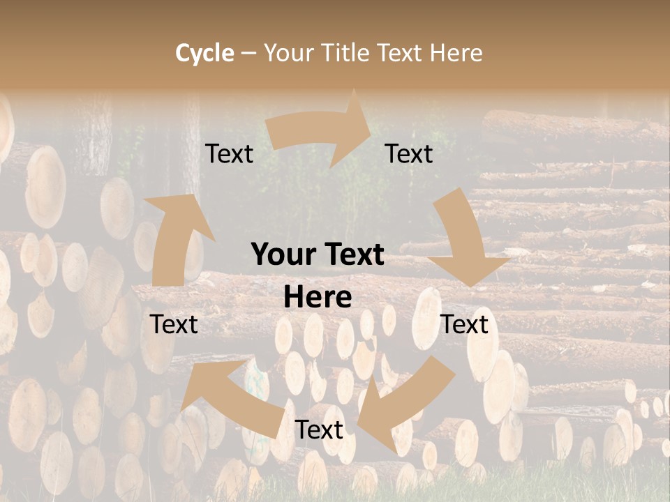 Conifer Plant Nature PowerPoint Template