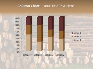 Conifer Plant Nature PowerPoint Template