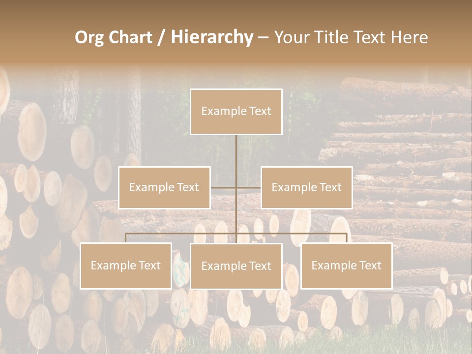 Conifer Plant Nature PowerPoint Template