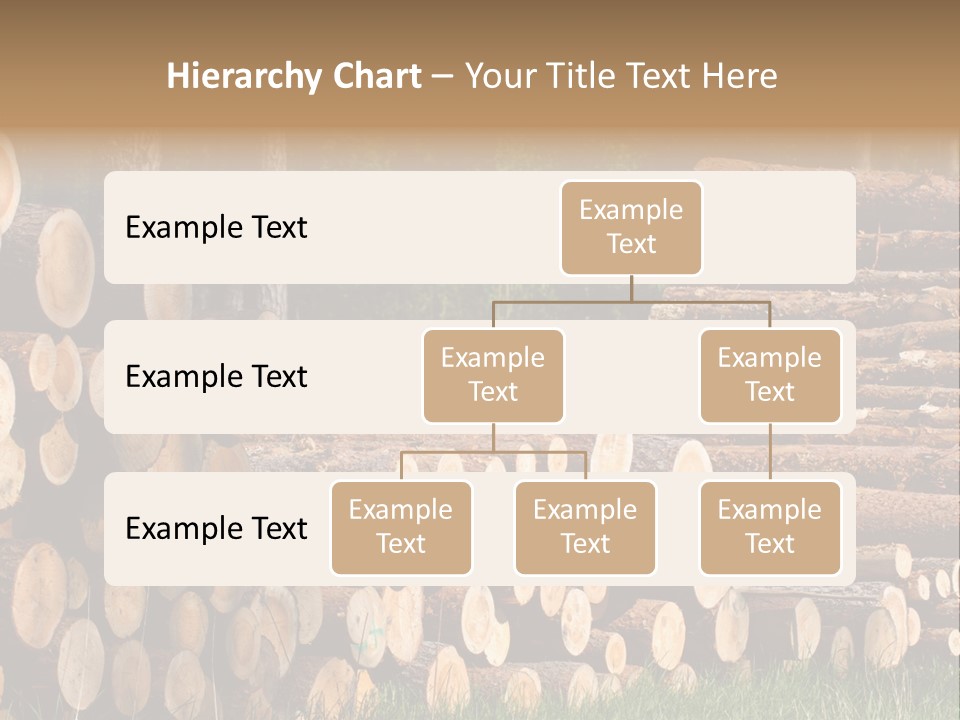 Conifer Plant Nature PowerPoint Template