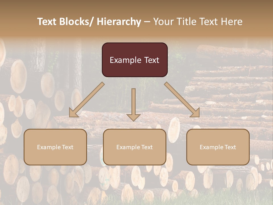 Conifer Plant Nature PowerPoint Template